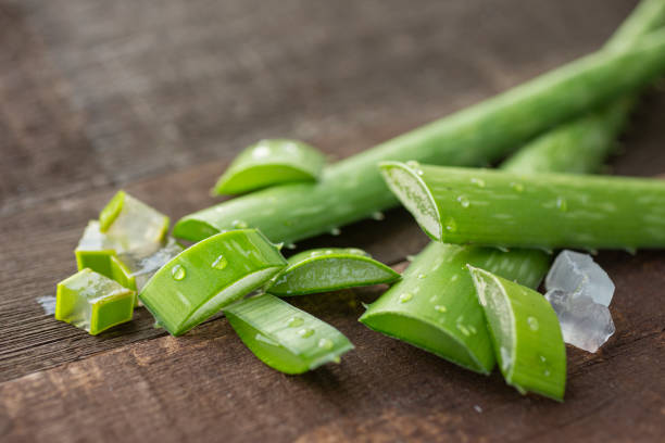 Khasiat Lidah Buaya buat Kecantikan serta Kesehatan