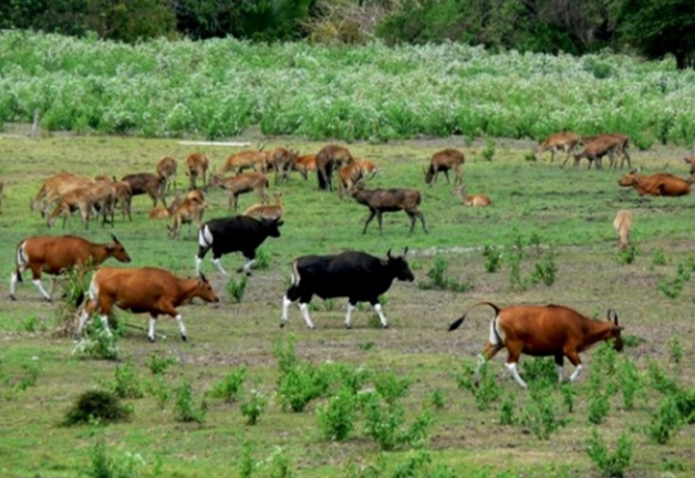 Destinasi Wisata Mistis,  Pesona Keindahan  Tersembunyi yang Terlupakan