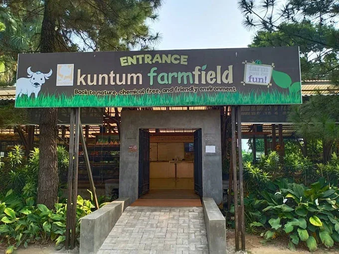 Yukk Liburan Ke Kuntum Farmfield