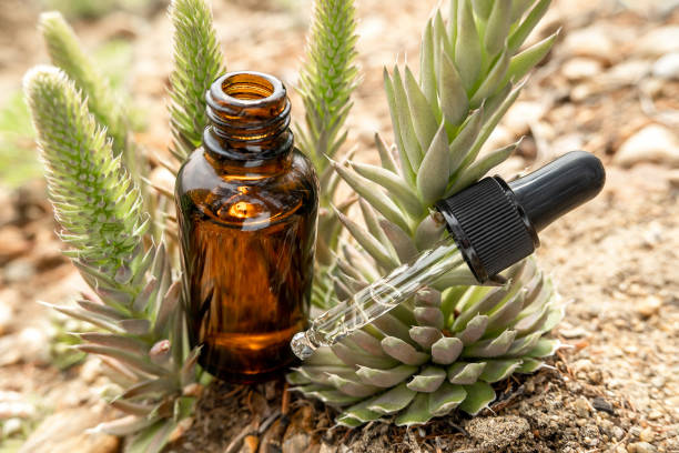 Khasaiat Niacinamide Untuk Perawatan Wajah