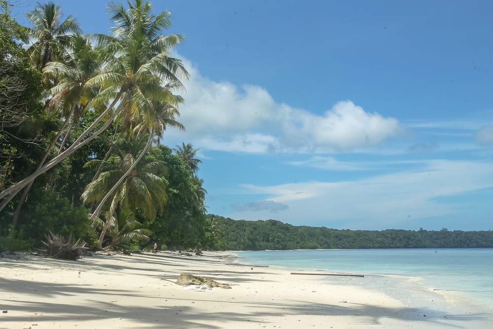 Liburan Ke Derawan Ada Apa Saja Disana